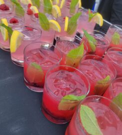 Tipsy Gypsy Mobile Bar Service