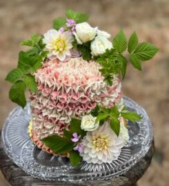 Bellbird Bungalow Bakery & Blossoms