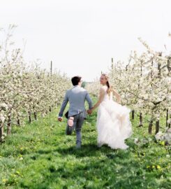 Finnriver Farm & Cidery