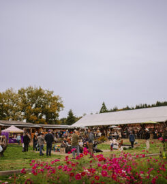 Finnriver Farm & Cidery