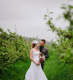 Finnriver Farm & Cidery