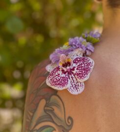 Marrowstone Glasshouse